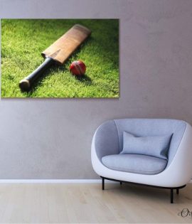 cricket bat and ball sports poster wall art