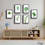 Green Plants Leaves | Set Of 6 | Complete Wall Setup